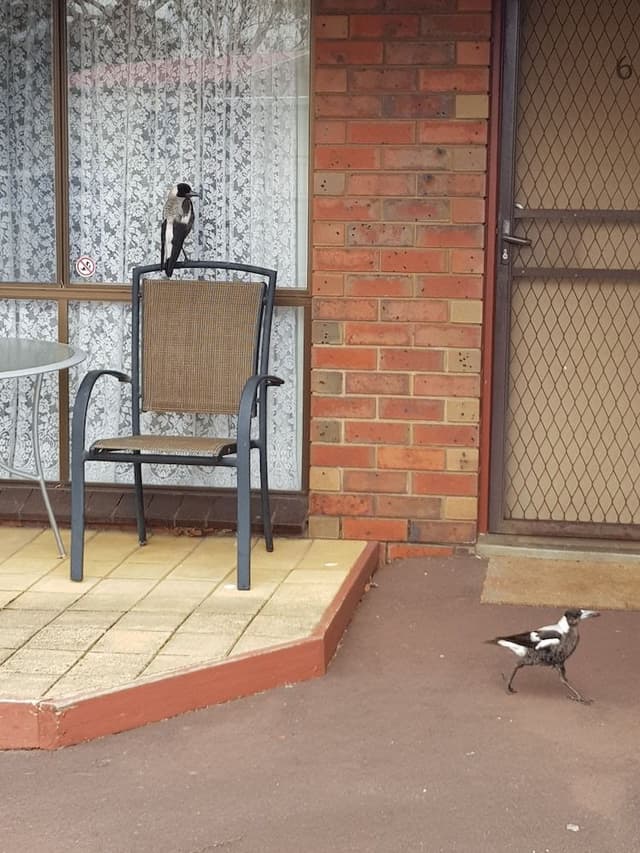 Family Apartment, 2 Bedrooms, Private Bathroom, Ground Floor (Twin Share Linen Surcharge Applies & p