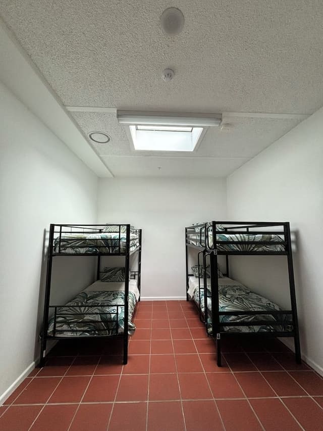 Bed in 4 Bed Mixed Dormitory Room