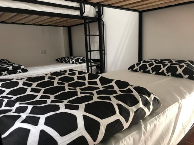 Bed in 4 Bed Mixed Dormitory Room