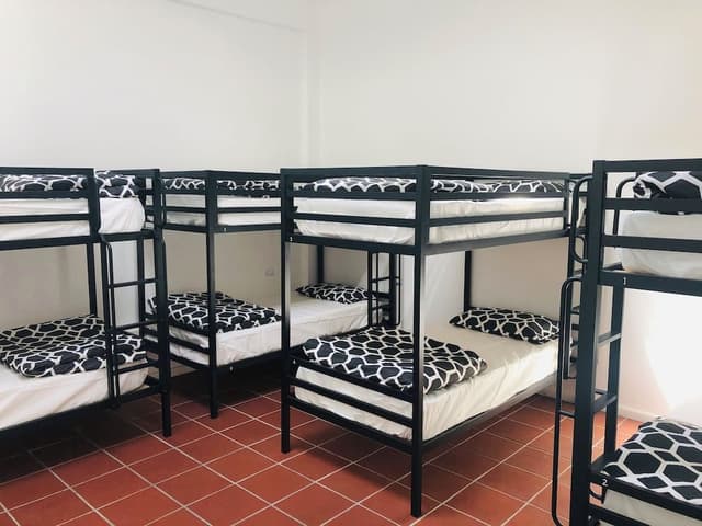 Bed in 10 Bed Mixed Dormitory Room