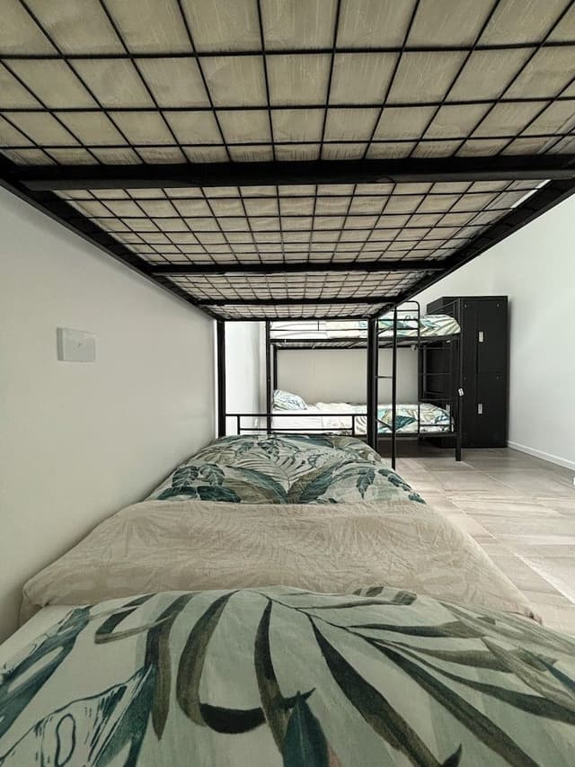 Bed in 4 Bed Mixed Dormitory Room