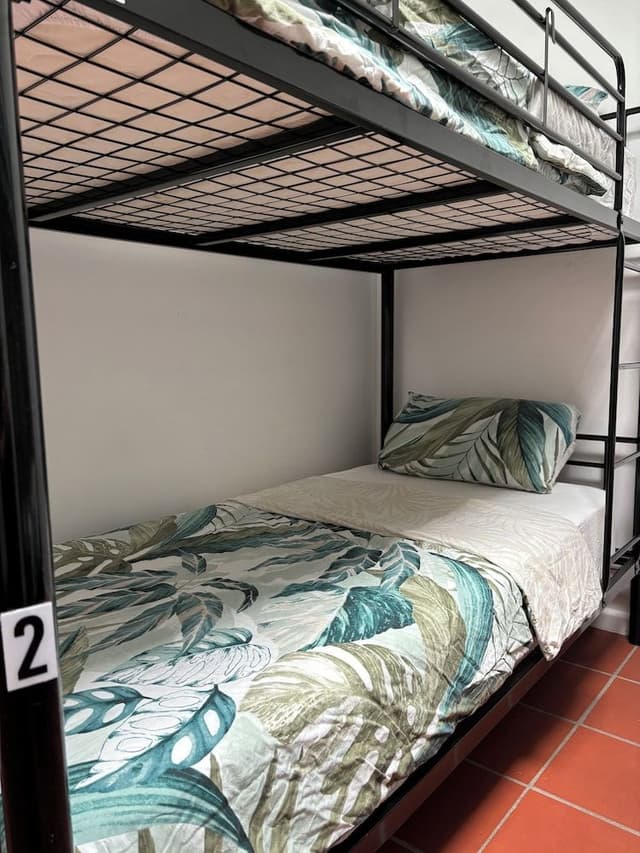 Bed in 4 Bed Mixed Dormitory Room