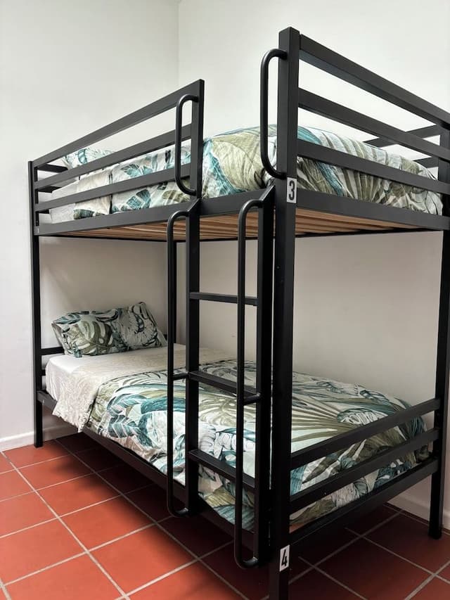 Bed in 4 Bed Mixed Dormitory Room