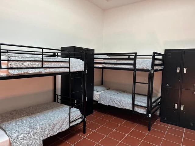 Bed in 8 Bed Mixed Dormitory Room