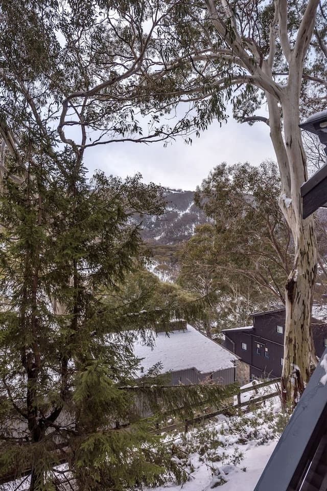 Deluxe Studio, Mountain View, Mountainside