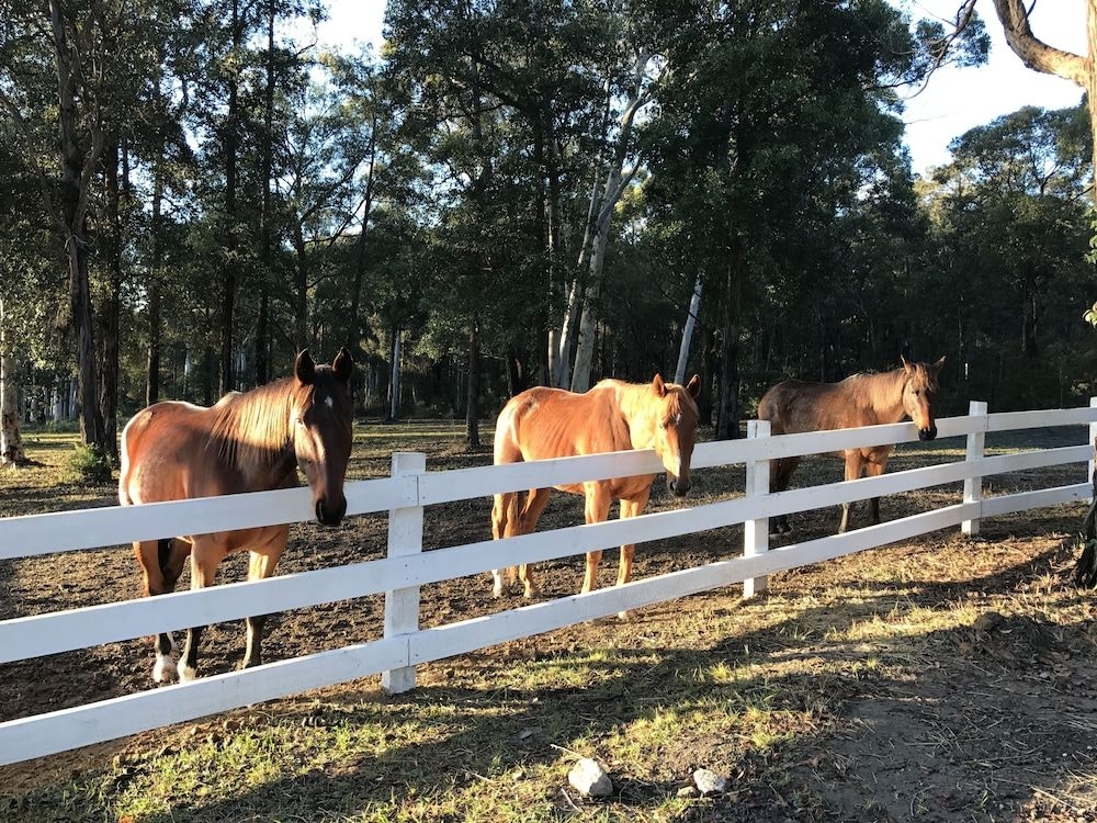 The Woods Farm Jervis Bay3