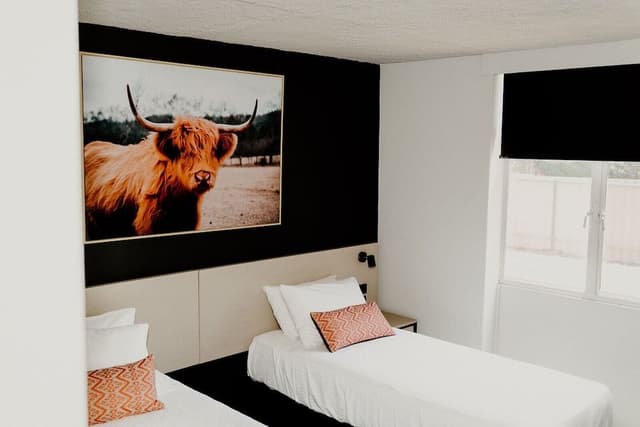 Studio, 2 Twin Beds