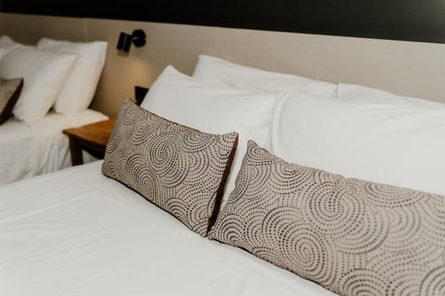 Studio, 2 Queen Beds