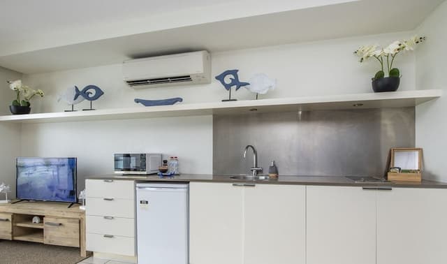 Studio (Unit 1311)