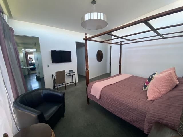 Vega Suite