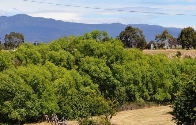 Luxury Cottage, 1 King Bed, Hill View