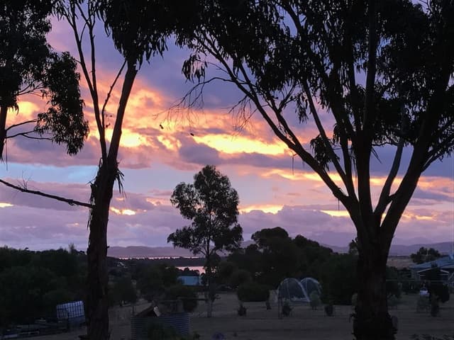 Cascaya Cabin