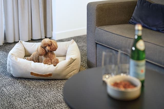 Two Bedroom Pet Friendly