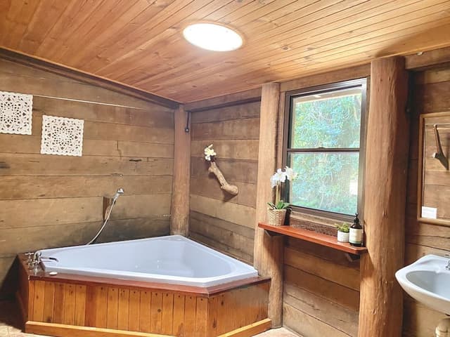 Banksia Family Cabin