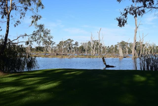 2 Bedroom Waterfront Cabin- Access Friendly
