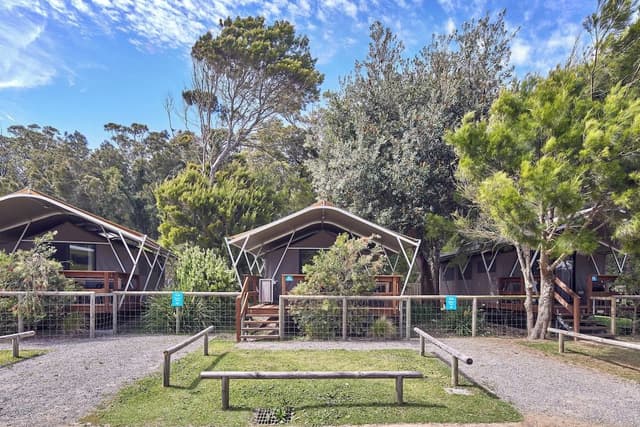 Safari Tent