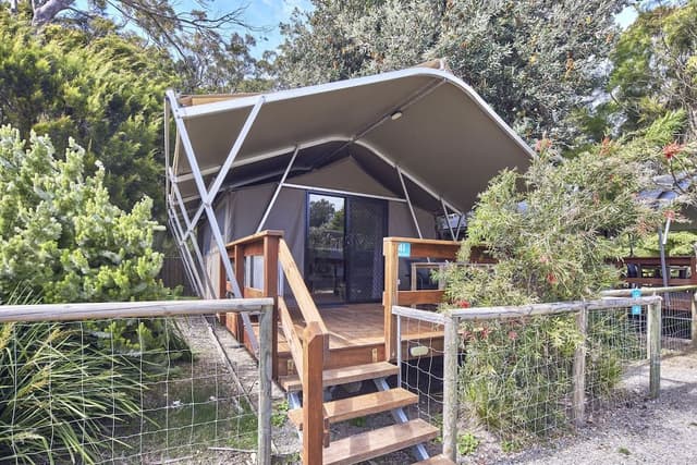 Safari Tent