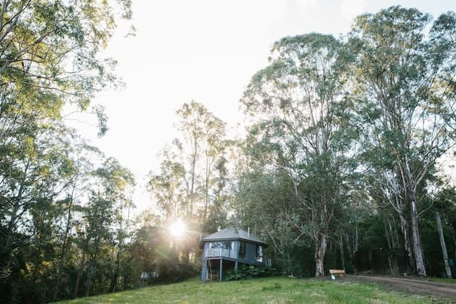 Nest 2 at Bluegums