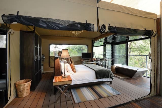 Canopy Suite
