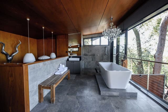 Chief Suite