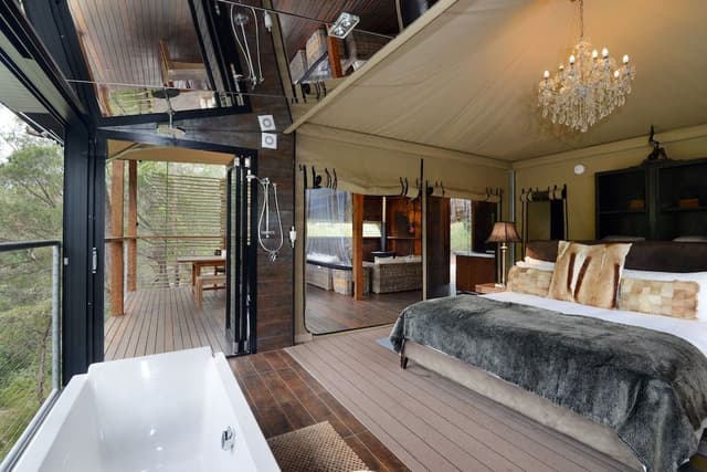 Canopy Suite