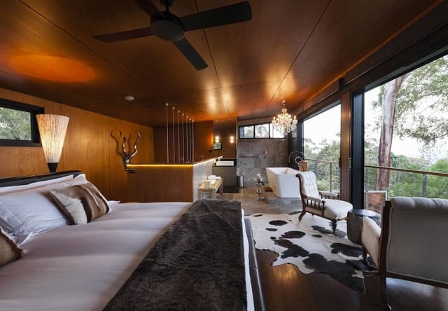 Chief Suite