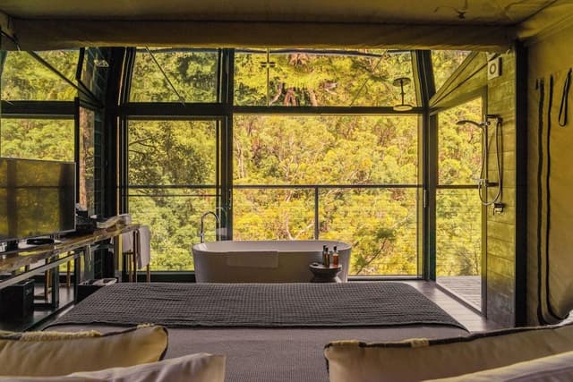 Canopy Suite