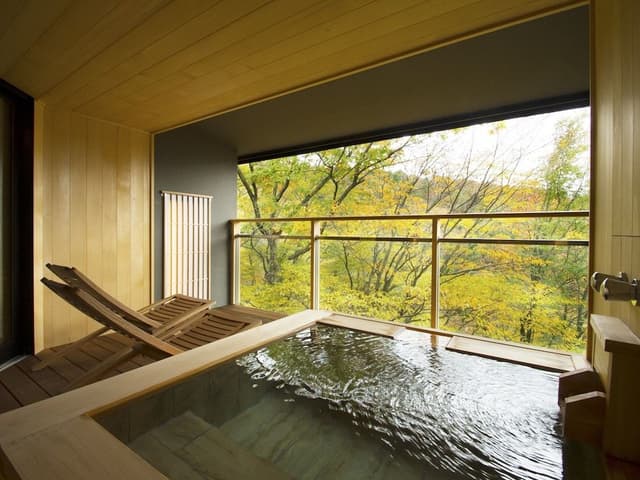 Deluxe Twin Room with Forest View, Japanese breakfast, Check-in only between 3pm-6pm, Non Smoking