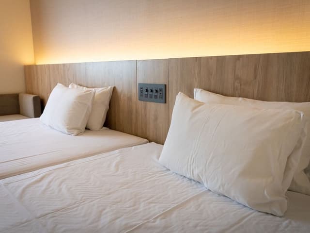 Deluxe Room, Non Smoking
