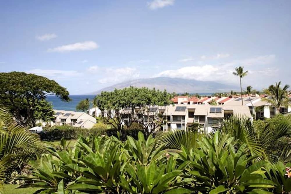 Maui Kamaole1