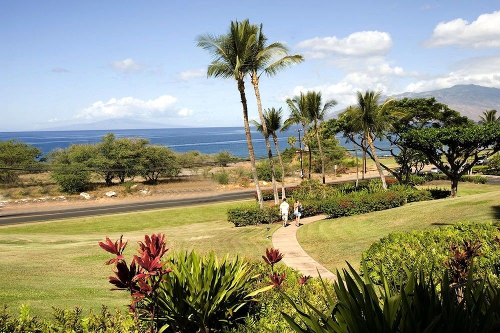 Maui Kamaole3
