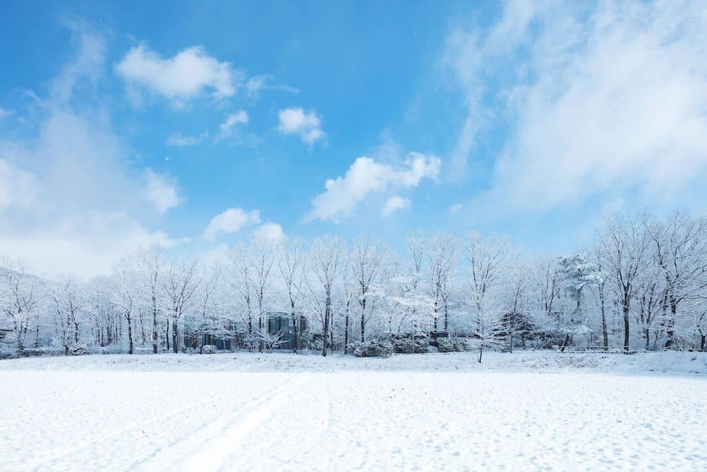 Hoshino Resort Risonare Nasu Hoshino Resort Risonare Nasu