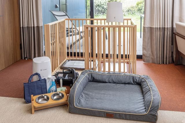 Pet Room Villa(With private bathroom and sauna), Non Smoking