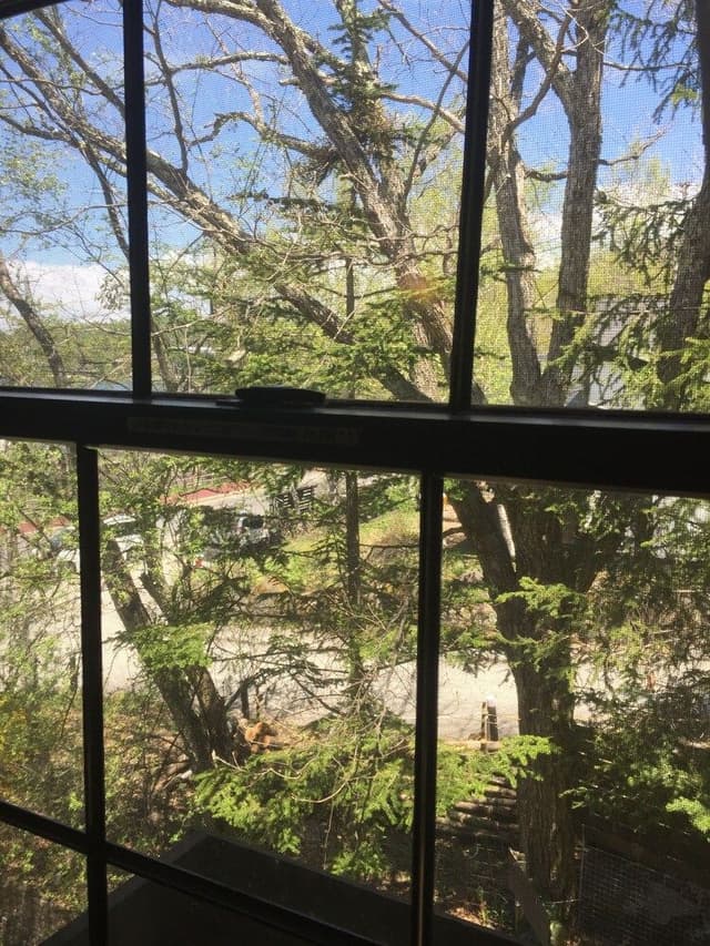 Quadruple Room, Lake View