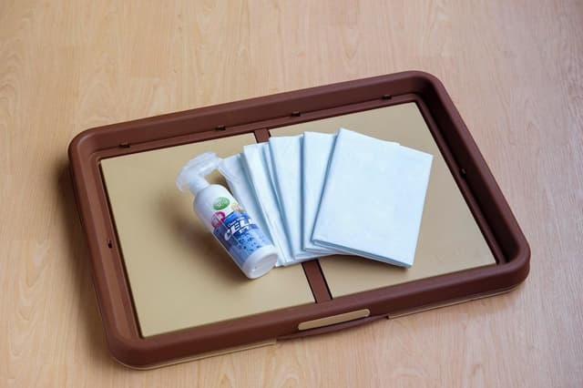 Standard Room, Non Smoking, Mountain View (Japanese-Style Room,42sqm)