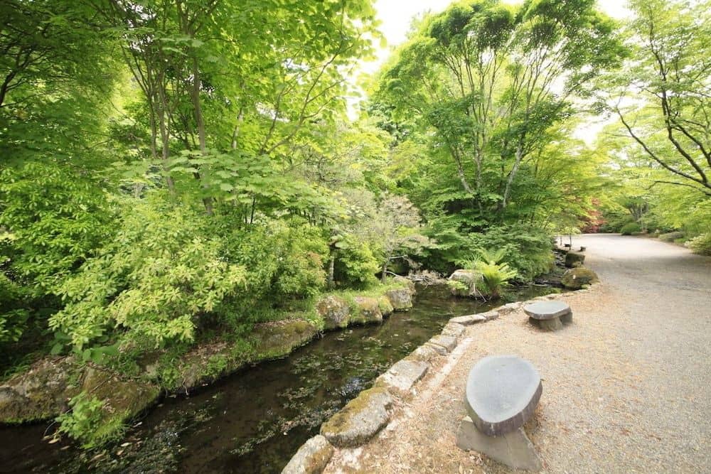 Shinshu Saku Kasuga Onsen Kasuga no Mori Shinshu Saku Kasuga Onsen Kasuga no Mori