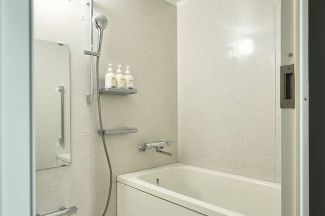 Premium Room, 2 Twin Beds (Japanese)