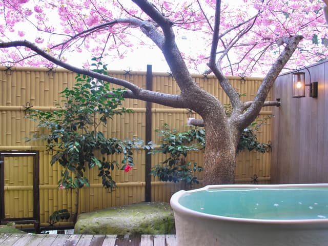 Japanese Style Room with 12 Tatami and Open-Air Bath