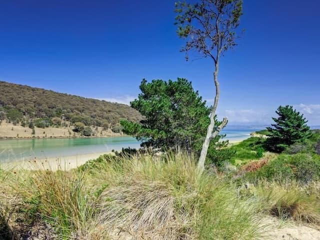 The Beach Homestead, 7 Bedroom