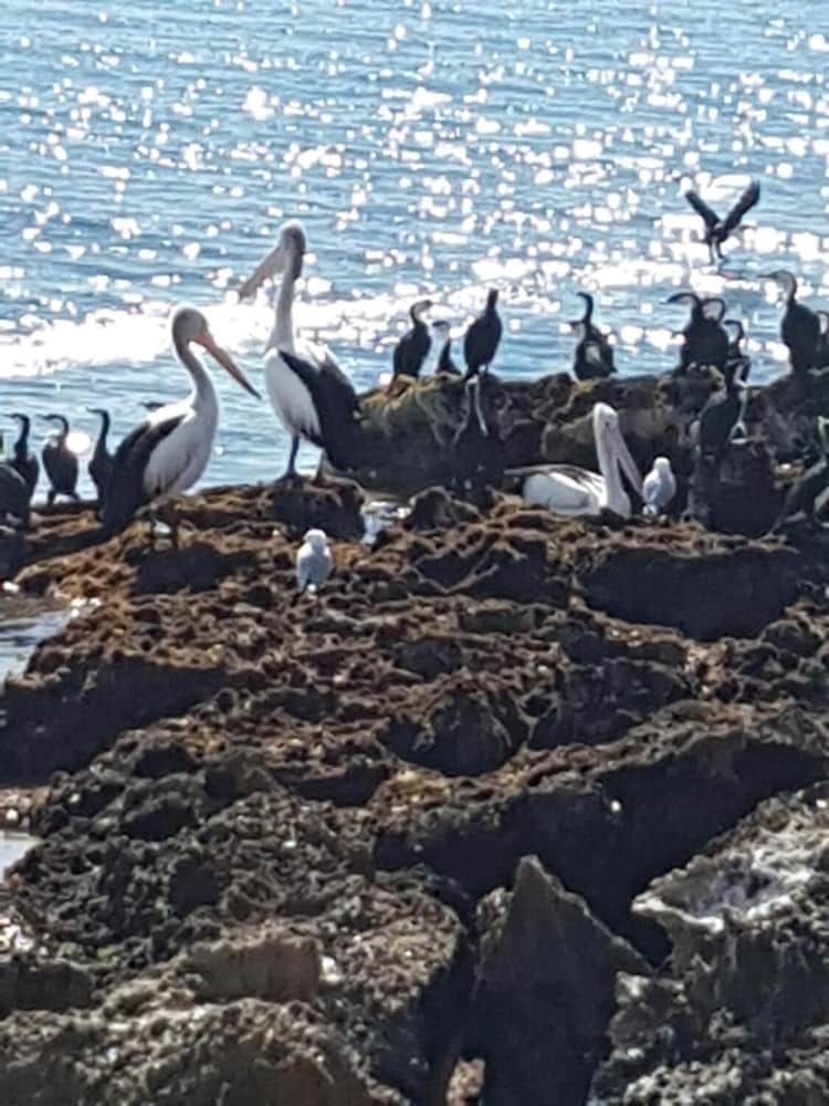 Trading Places Kangaroo Island2