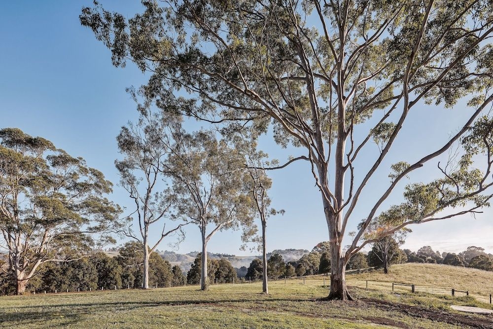 99 Acres Bangalow Retreat3