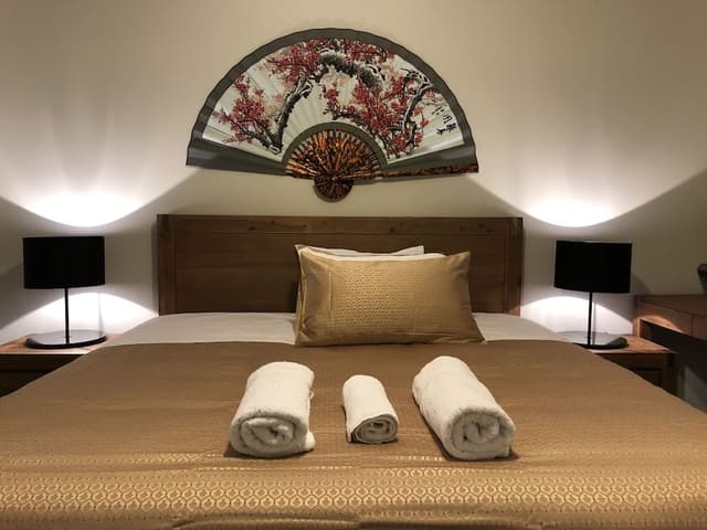 King Room with shower and Balcony 5