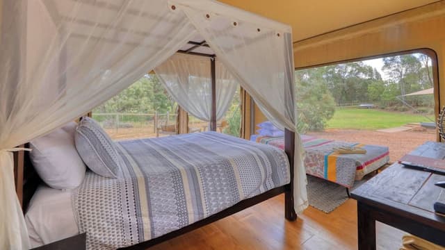Family Tent
