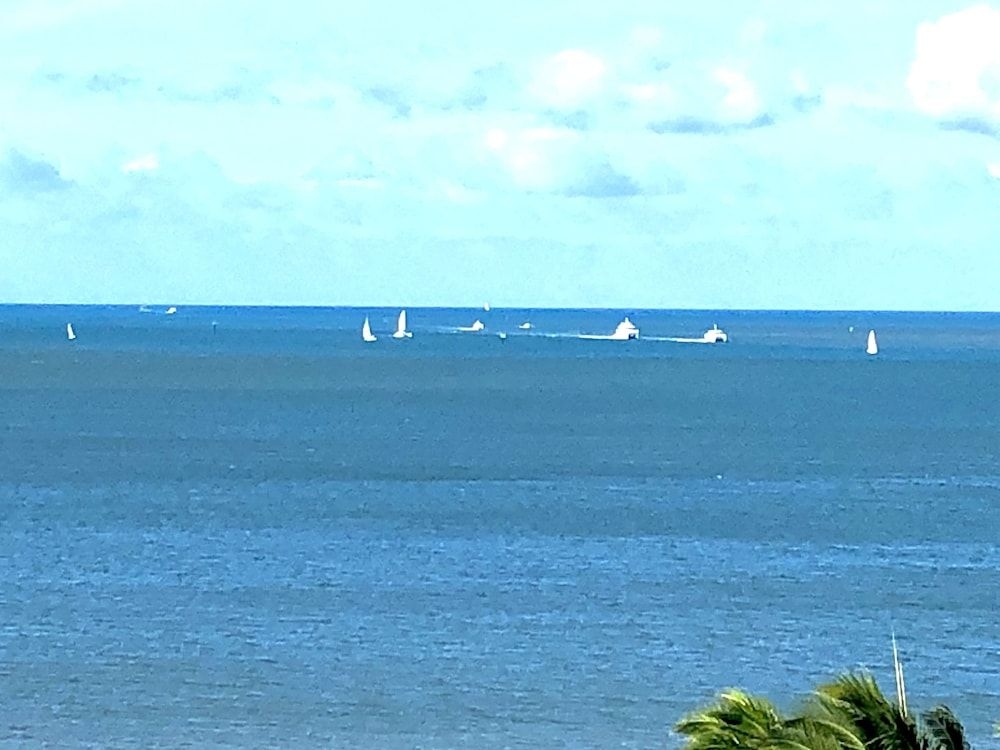 Cairns Apartment Esplanade Ocean Views2