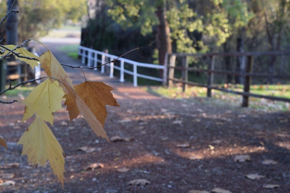 Brockman Park Estate3