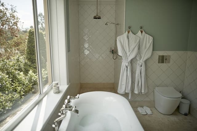 Deluxe Room, 1 King Bed, Bathtub, Vineyard View