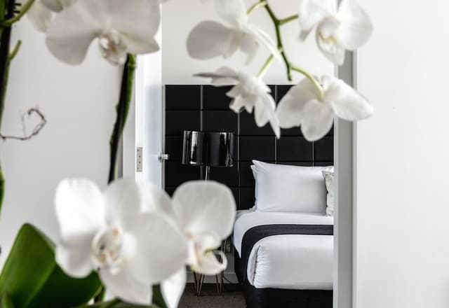 Executive Two Bedroom Apartment