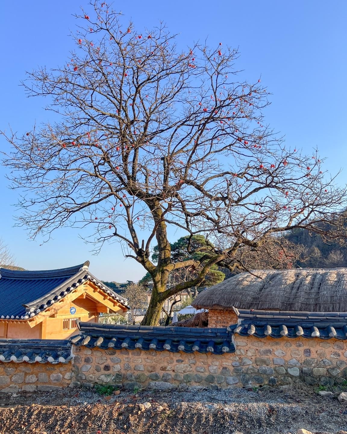 ชูกฮอน เทรดิชั่นนอล เฮาส์ (Jukheon Traditional House (Korea Quality))1