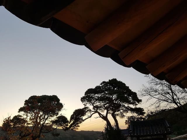 Seojae