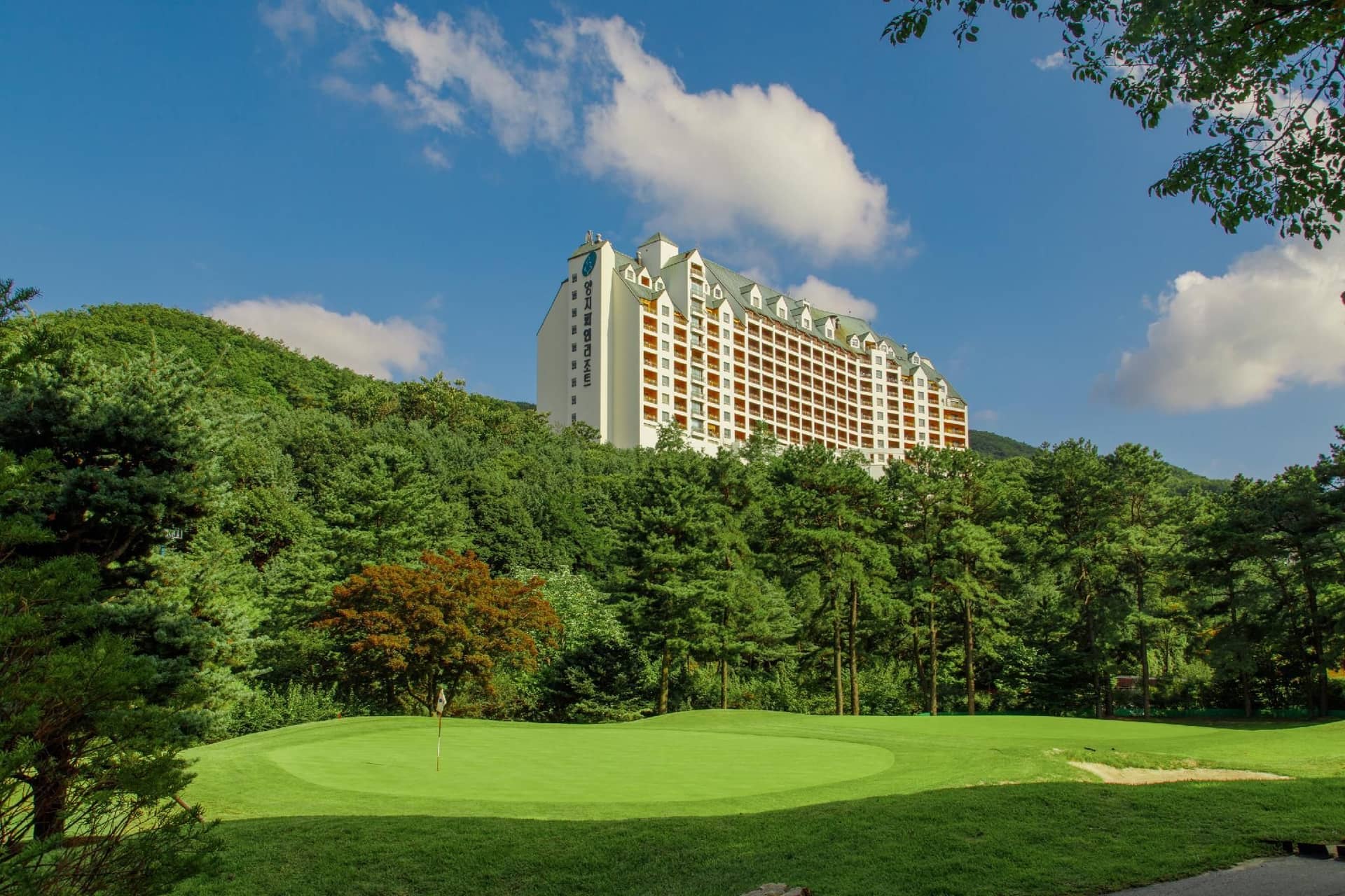 Yangji Pine Resort Yangji Pine Resort